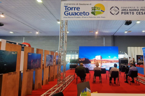 expo40E097198-39A5-7EE0-51FB-6EFFA2F745BF.jpg