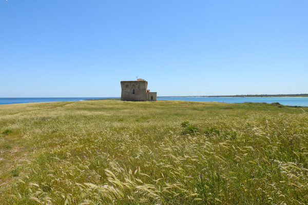 torre-interreg531D9935-E552-9AF0-4F47-F4EA222051BE.jpg