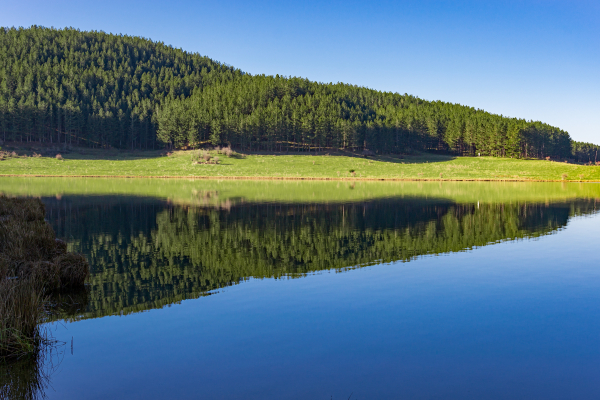 lago-ariamacina-pp40318A3B1-A3AA-DC6D-32DC-E1AE0C79D18E.jpg