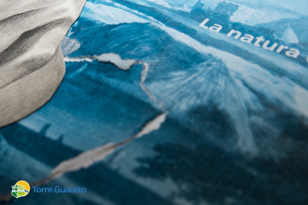 quel-che-resta-e-il-ciano-mostra-di-giuseppe-ciraci-organizzata-dal-consorzio-di-gestione-di-torre-guaceto-5809DB933-9D9D-2CEC-7D89-D2B1037CE33D.jpg