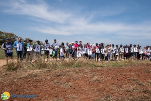 #IoStoConTorreGuaceto: reimpiantati 200 arbusti