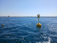 Monitoraggio locale, strategia nazionale: installata a Torre Guaceto una boa per il controllo dello stato di salute del mare