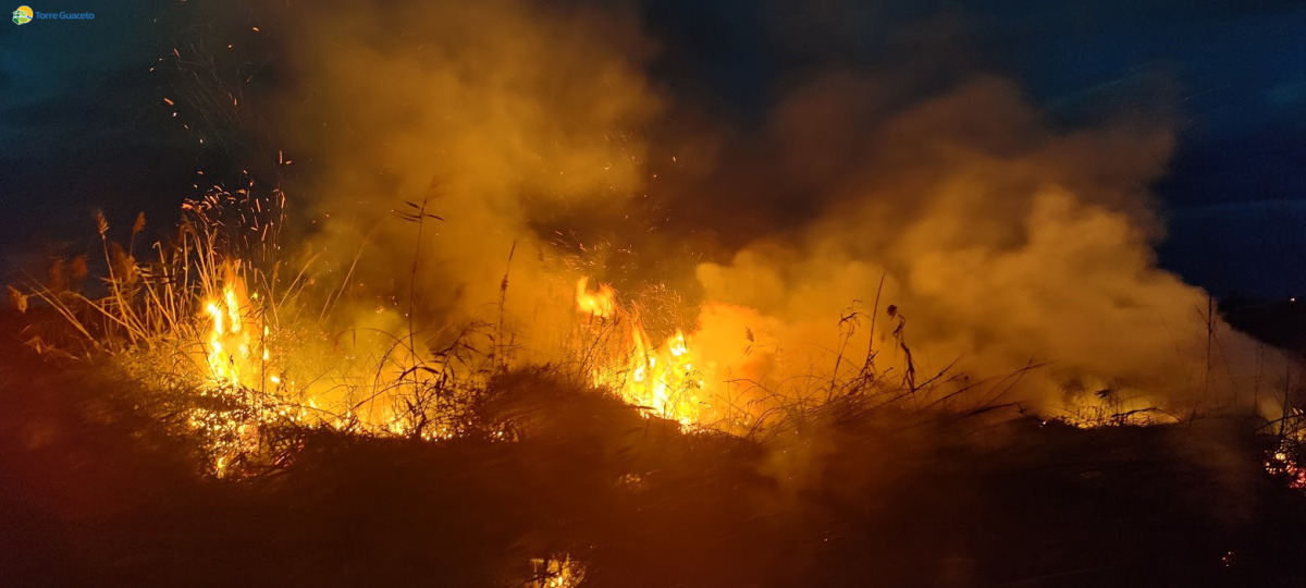 Incendio al chiaro d’acqua più grande di Torre Guaceto: si teme il dolo